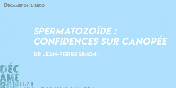 Spermatozoïde : confidences sur canopée - Dr Jean-Pierre Simoni