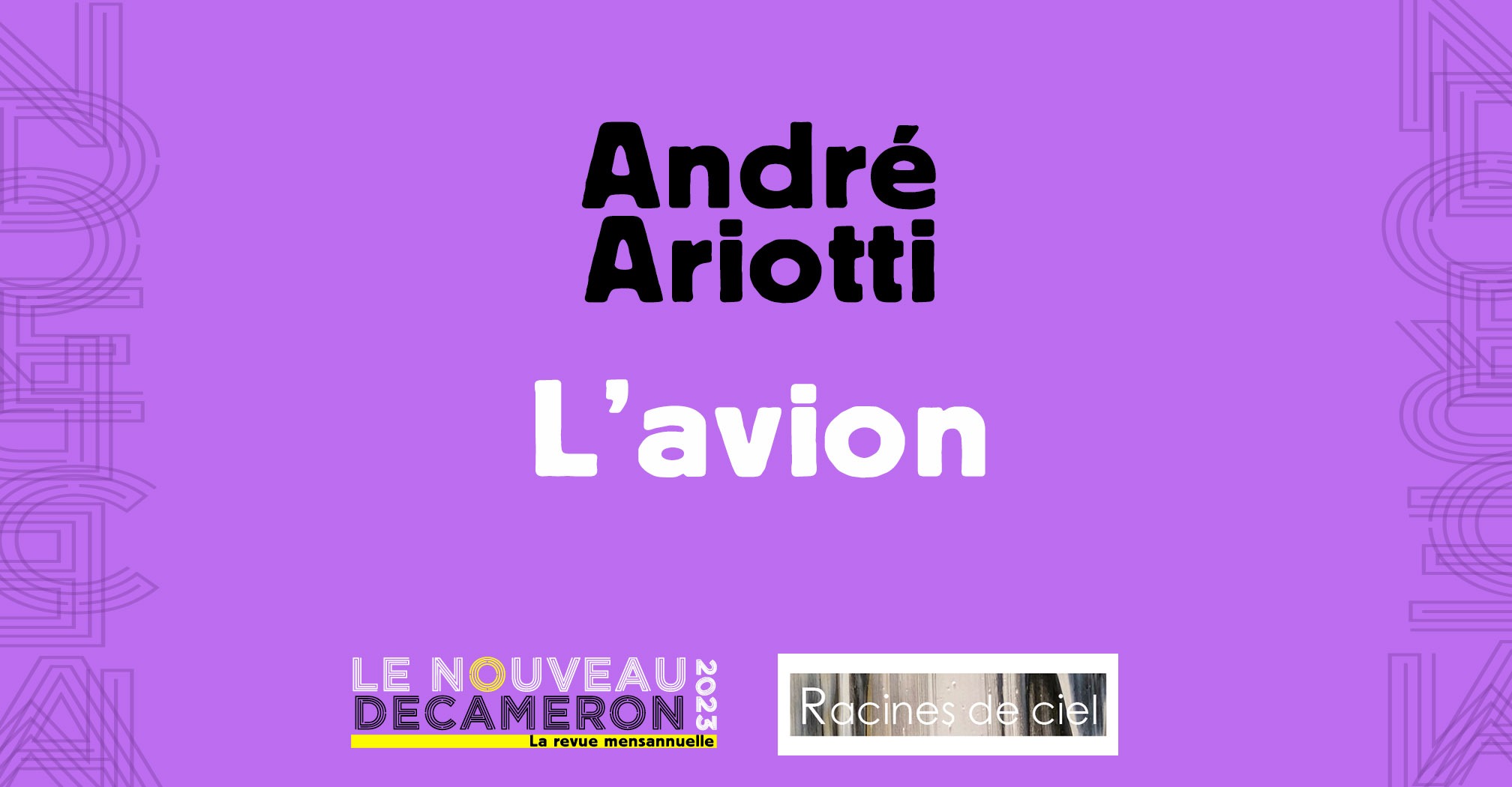 André Ariotti - L'avion